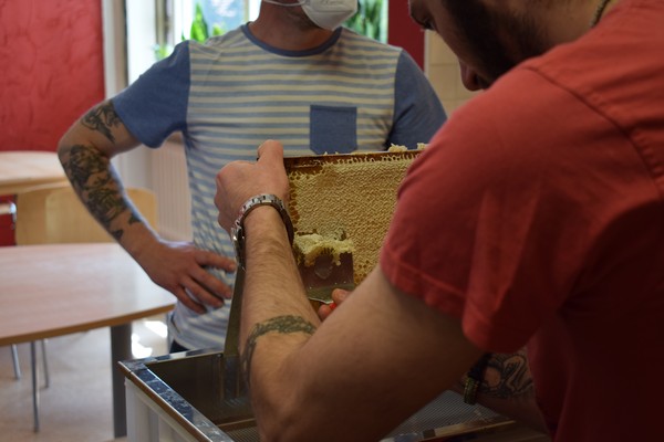 Vor dem Schleudern des Honigs entdeckeln die Patienten die Waben in der Stationsküche. Foto: Bikowski/ LWL